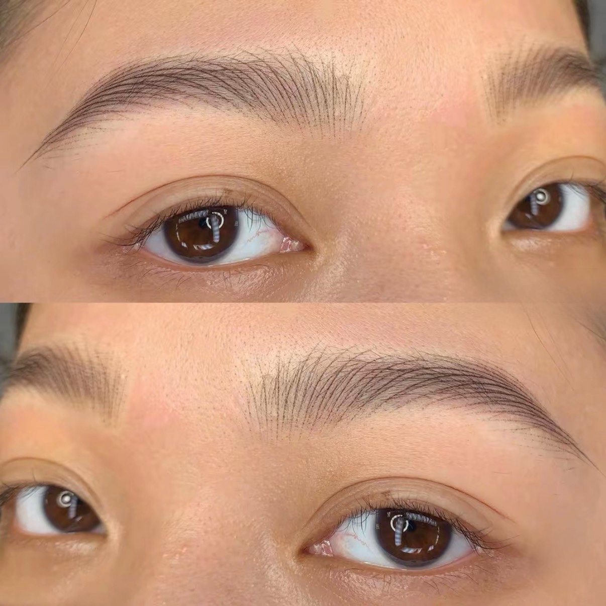 Brows